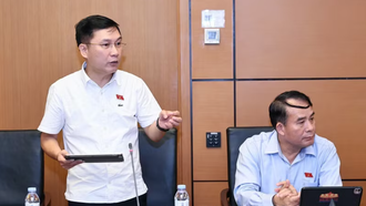 Đại biểu Quốc hội tỉnh Gia Lai Lê Hoàng Anh phát biểu. 