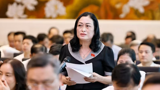 Đại biểu Quốc hội tỉnh Cà Mau Trần Thị Hoa Ry phát biểu. 