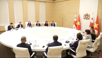 Phó Chủ tịch nước Võ Thị Ánh Xuân hội đàm với Thủ tướng Gruzia