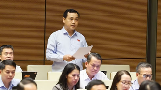 Đại biểu Quốc hội Thành phố Hồ Chí Minh Lê Văn Đông phát biểu.