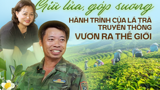 Giữ lửa, góp sương: Hành trình của lá trà truyền thống vươn ra thế giới