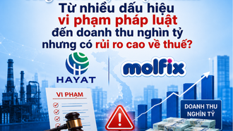 Hayat Kimya Việt Nam: Từ nhiều dấu hiệu vi phạm pháp luật đến doanh thu nghìn tỷ nhưng có rủi ro cao về thuế?