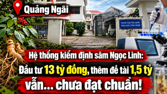 Hệ thống kiểm định sâm Ngọc Linh: Đầu tư 13 tỷ đồng, thêm đề tài 1,5 tỷ vẫn… chưa đạt chuẩn!