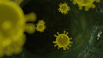 TP HCM tập huấn chẩn đoán, điều trị bệnh do virus Nipah cho cơ sở y tế