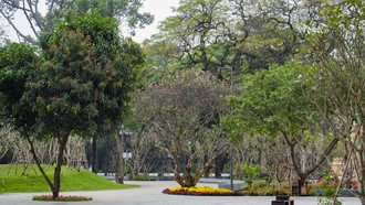 Không gian xanh bên trong Công viên số 1 Lý Thái Tổ.