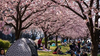 Dự báo 5 xu hướng định hình ngành du lịch toàn cầu năm 2026