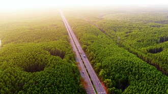 VnExpress Marathon lần đầu tổ chức tại Cần Giờ 