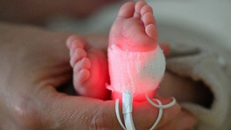 Mỹ: Gia tăng số ca bệnh nhi liên quan đến hoá chất nhựa