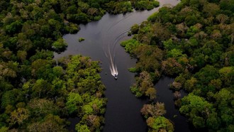 "Lá chắn" mới bảo vệ rừng Amazon