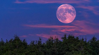 “Trăng Hồng” tháng tư xuất hiện rực rỡ trên bầu trời đêm