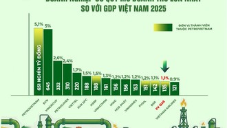 PV GAS ghi nhận doanh thu thuần trên 135 nghìn tỷ đồng, tương đương 1,1% GDP Việt Nam.