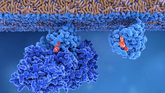 Thuốc mới mở ra hy vọng kéo dài sự sống cho bệnh nhân ung thư tụy