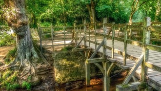 Cầu Posingford tại rừng Ashdown, Đông Sussex (Anh).