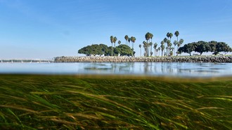 Giới khoa học dùng ADN để bắt kịp tốc độ biến đổi khí hậu