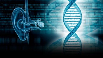 Bước tiến lịch sử trong điều trị điếc bẩm sinh