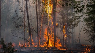 Kỷ lục cháy rừng toàn cầu và hồi chuông cảnh báo El Nino