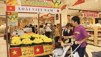 Thủ tướng Chính phủ chỉ thị đẩy mạnh huy động người Việt Nam ở nước ngoài tham gia giới thiệu, tiêu thụ sản phẩm và phát triển các kênh phân phối hàng Việt Nam ở nước ngoài giai đoạn 2026 - 2030. (Ảnh minh hoạ)