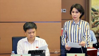 Đại biểu Quốc hội thành phố Hà Nội Trần Thị Nhị Hà phát biểu. 