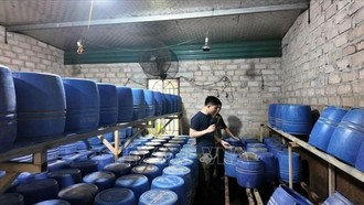 Bên trong cơ sở sản xuất giá đỗ của ông Tạ Văn Xã (sinh năm 1992, trú tại phường Móng Cái 1, tỉnh Quảng Ninh) tại phường Mạo Khê, tỉnh Quảng Ninh.