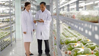 Hoạt động nghiên cứu, ứng dụng công nghệ tại Khu Nông nghiệp công nghệ cao TP Hồ Chí Minh gắn với nhu cầu thực tiễn của sản xuất.