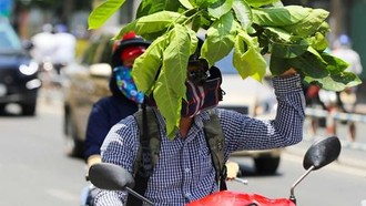 Miền Bắc mưa rải rác, Nam Bộ nắng mạnh