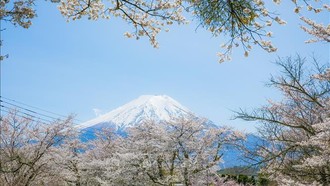 Góc nhìn núi Phú Sĩ hùng vĩ tuyệt đẹp từ Oshino Hakkai là một điểm nhấn của ngôi làng cổ. 