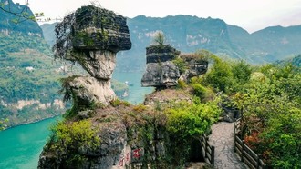 LHQ thúc đẩy nỗ lực bảo vệ đa dạng sinh học toàn cầu
