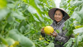 Nâng cao năng lực kinh doanh trực tuyến qua chương trình “Tăng trưởng doanh nghiệp của tôi”