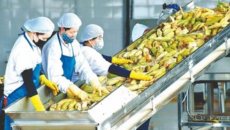 Mở đường cho nông sản Việt vào UAE