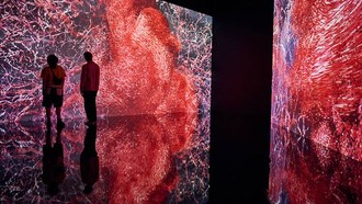 Triển lãm "Flesh and Bones: The Art Of Anatomy". Ảnh: Time Out.