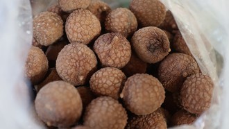 Vải sấy Thanh Hà: khi lò sấy thôi đỏ lửa