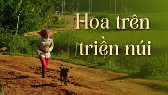 Hoa trên triền núi