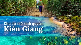 Khu dự trữ sinh quyển Kiên Giang - nơi dòng nước nối rừng tràm với rạn san hô