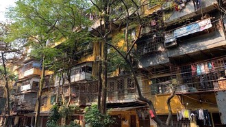 Mùa thu từ khoảng sân tập thể 