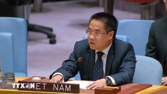 Công sứ Nguyễn Hải Lưu, Phó Trưởng Phái đoàn thường trực Việt Nam tại Liên hợp quốc. (Ảnh: Thanh Tuấn/TTXVN)