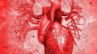 Chụp nhũ ảnh có thể phát hiện sớm nguy cơ bệnh tim ở phụ nữ