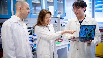 Nhóm các nhà khoa học do Phó Giáo sư Guillaume Thibault (trái) của Đại học Công nghệ Nanyang (NTU) dẫn đầu, bao gồm cả giáo sư thỉnh giảng Kimberly Kline (giữa) của Đại học Geneva và nghiên cứu sinh Aaron Tan của NTU. (Ảnh: NTU)