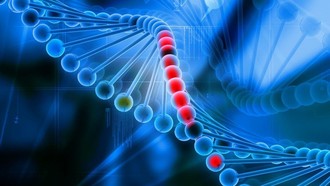 Gene di truyền là yếu tố chính quyết định tuổi thọ con người