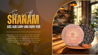 Trà cổ thụ Shanam - Gốc xưa chảy vào ngày mới