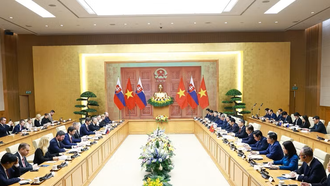 Thủ tướng Lê Minh Hưng hội đàm với Thủ tướng Slovakia Robert Fico.