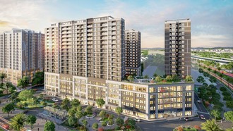 Mini Orchard: Nơi dòng tiền “không ngủ”, tối đa hóa lợi nhuận cho nhà đầu tư