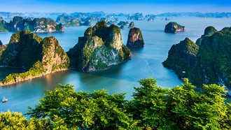 Ảnh minh họa