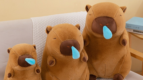 Sức hút của những chú Capybara chưa hạ nhiệt, giới trẻ tranh thủ săn lùng loạt item hot hit