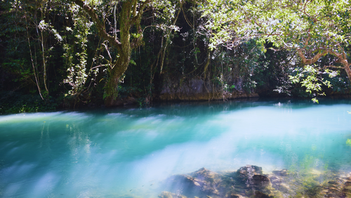 Dòng suối Lê-nin trong vắt dưới ánh nắng