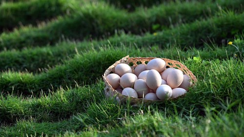 Pinky Egg chính thức lên kệ Bách Hóa Xanh 