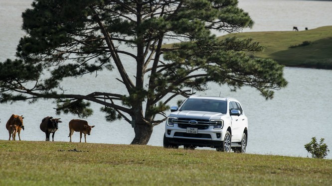 Cùng Ford Ranger và Everest bứt phá giới hạn, truyền lửa đam mê