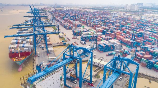 Tổng công ty Tân Cảng Sài Gòn triển khai phần mềm quản lý dịch vụ container rỗng