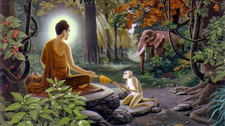 Bố thí cúng dường cho người có tâm hạnh càng thiện thì phước báu càng lớn, không kể đó là xuất gia hay tại gia.