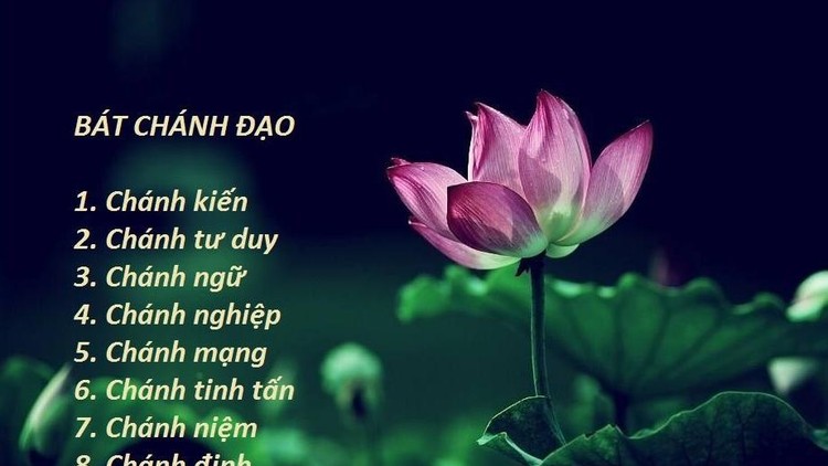 Đi đúng chánh pháp sẽ làm chủ cuộc đời mình