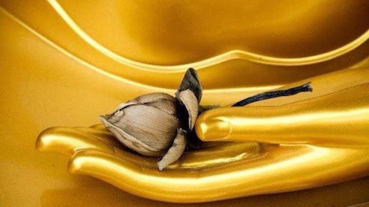 Bố thí Ba la mật là gì?